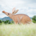 Wildcrete Aardvark